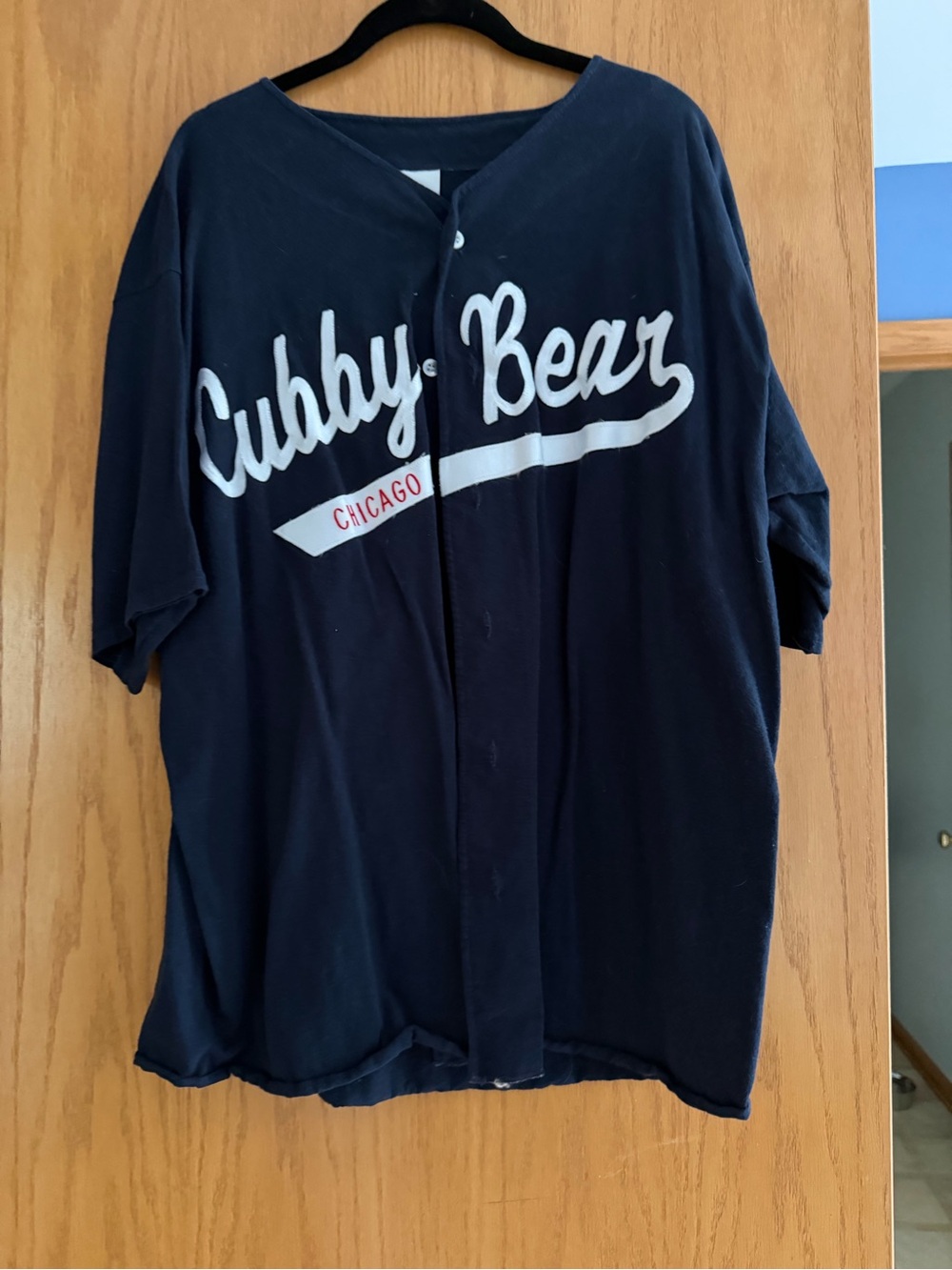Vintage Cubby Bear Chicago Baseball Jersey Xl